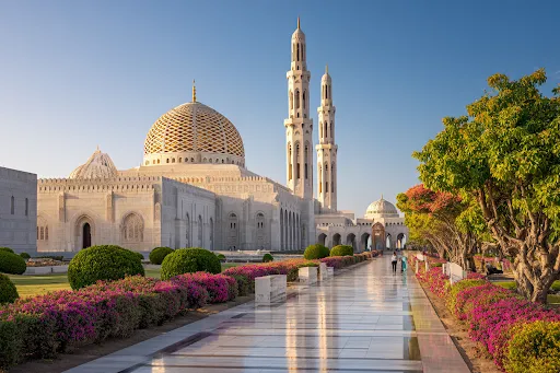 What Is a Saudi Transit Visa and How to Use It During Layovers?