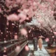 Merencanakan perjalanan Korea Selatan dari Bali, menampilkan bunga sakura di Seoul, kuil di Busan, dan street food di Myeongdong dengan tips untuk warga asing