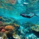 WNA di Bali merencanakan perjalanan acara dunia 2025, menampilkan bunga sakura Tokyo, kafe Paris saat Olimpiade Musim Panas, parade Karnaval Brasil, dan festival panen anggur Italia