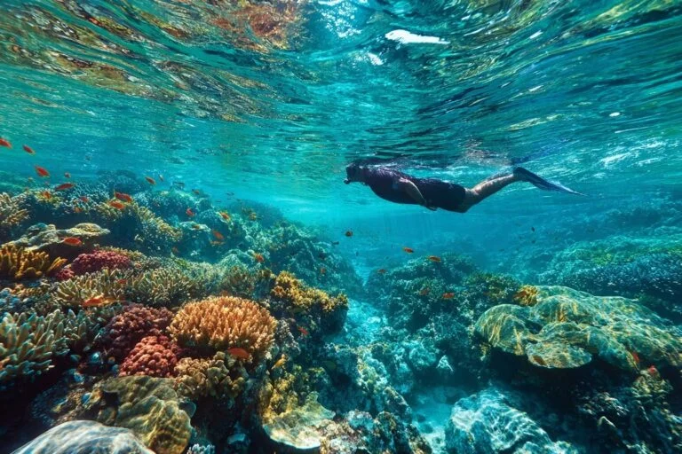 WNA di Bali merencanakan perjalanan acara dunia 2025, menampilkan bunga sakura Tokyo, kafe Paris saat Olimpiade Musim Panas, parade Karnaval Brasil, dan festival panen anggur Italia